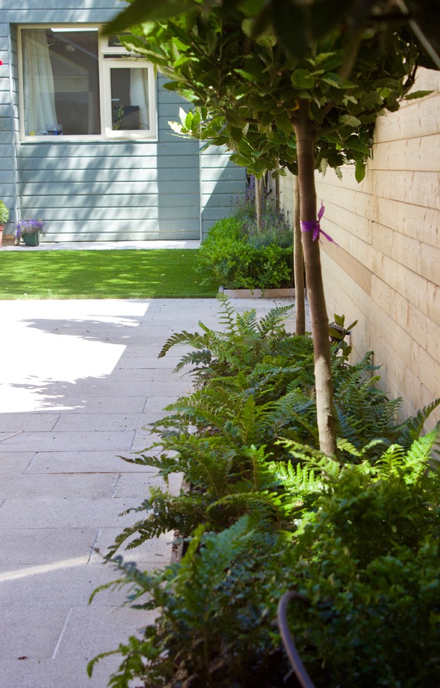 Ispirazione per un piccolo giardino formale minimal esposto a mezz'ombra dietro casa in estate con un ingresso o sentiero, pavimentazioni in pietra naturale e recinzione in legno
