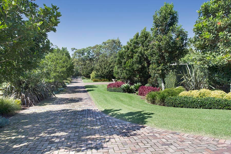Свежая идея для дизайна: огромный солнечный, весенний регулярный сад на переднем дворе в современном стиле с хорошей освещенностью - отличное фото интерьера