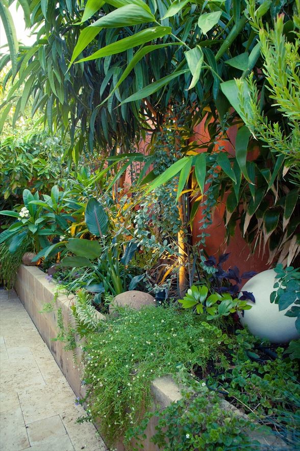 This is an example of a mediterranean garden in Perth.
