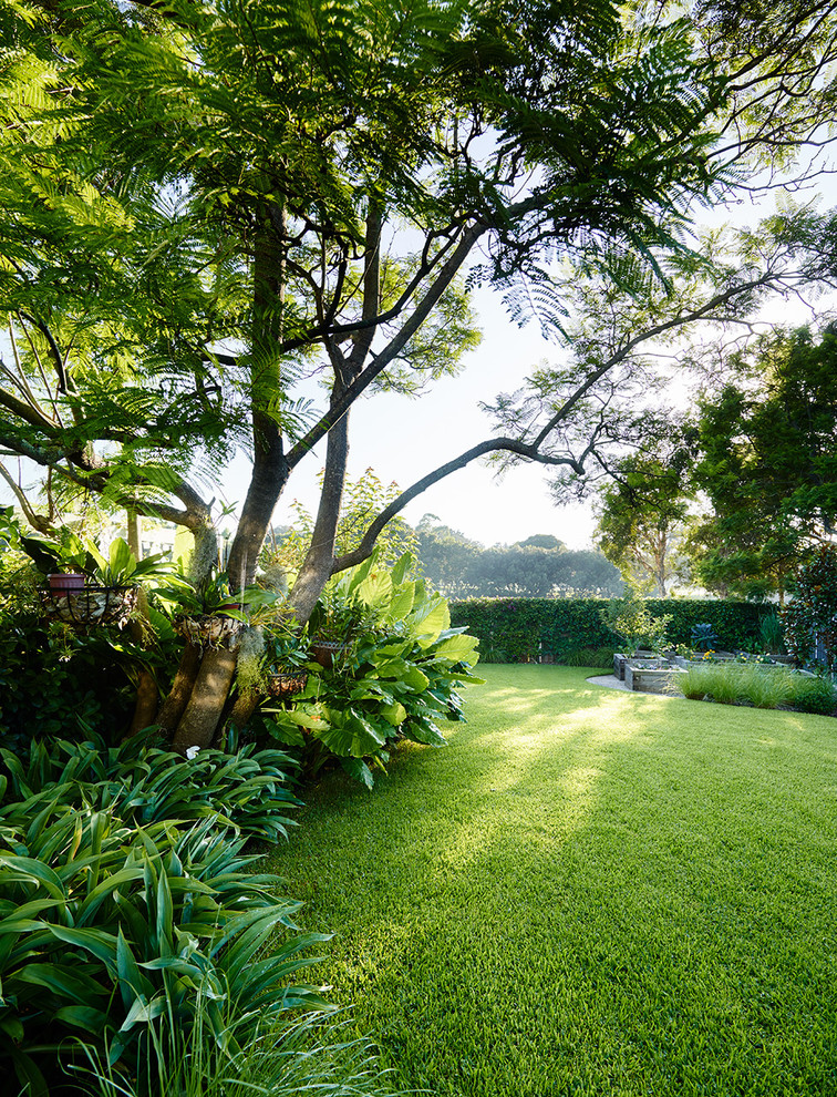 Свежая идея для дизайна: большой летний регулярный сад на заднем дворе в современном стиле - отличное фото интерьера