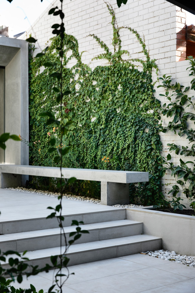 Inspiration for a small contemporary courtyard full sun garden for summer in Melbourne.