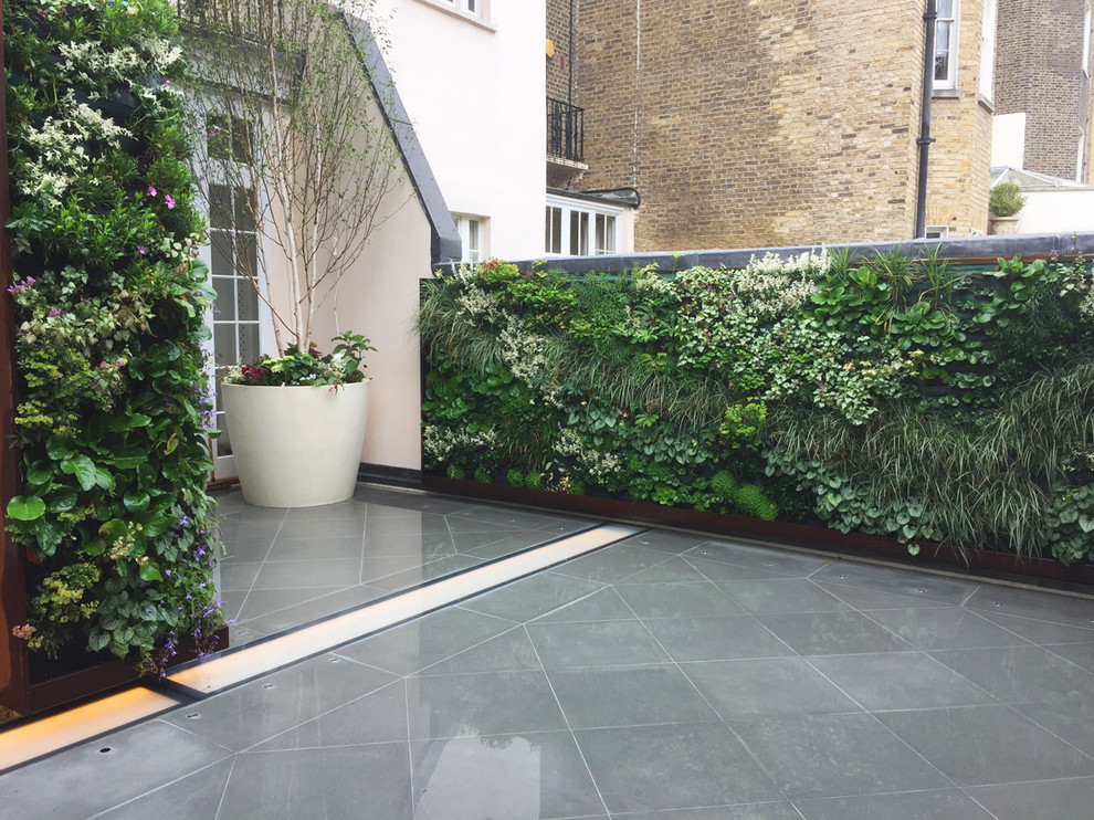 Kleine, Halbschattige Moderne Pflanzenwand im Sommer, hinter dem Haus mit Natursteinplatten in London