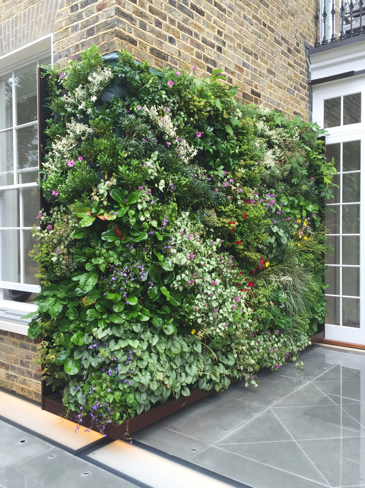 Kleine, Halbschattige Moderne Pflanzenwand im Sommer, hinter dem Haus mit Natursteinplatten in London