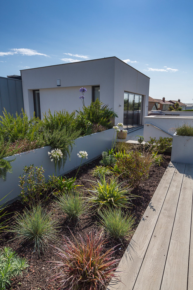 Идея дизайна: большой участок и сад на крыше в современном стиле