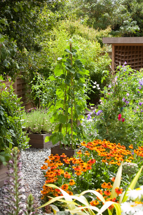 10 Ways to Make Your Garden More Productive