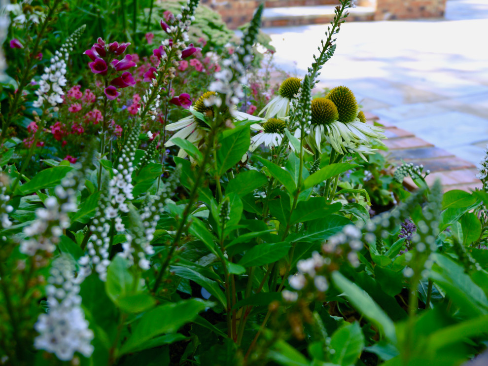 Elmfield Gardens Traditional Garden, Driveway & Entrance Farmhouse
