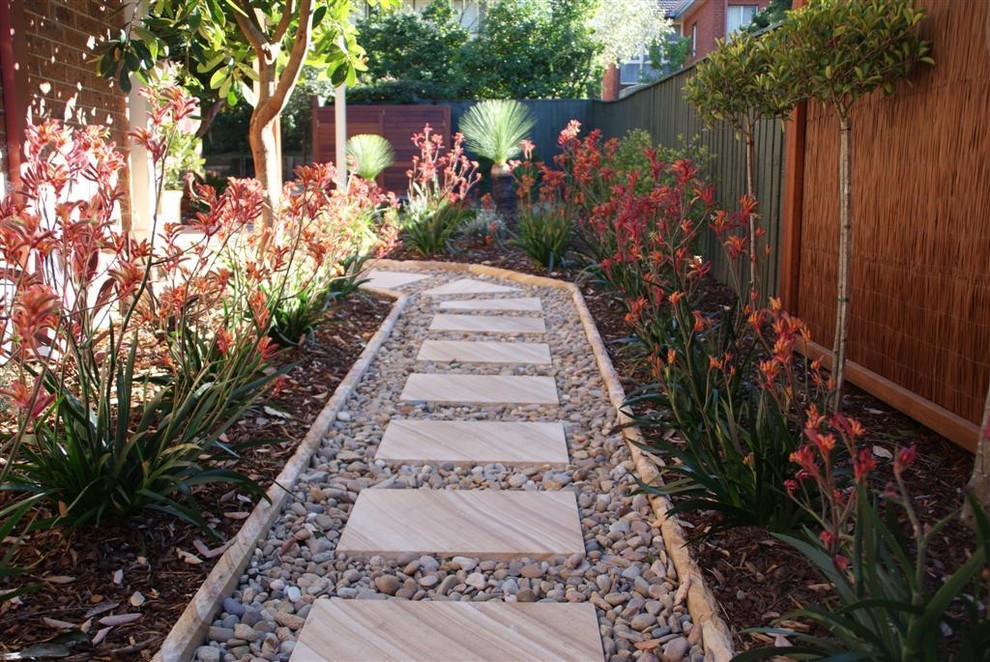 Photo of a contemporary side yard landscaping in Sydney.