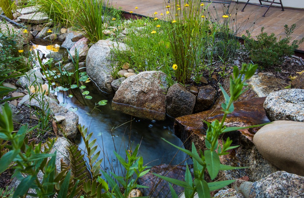 Идея дизайна: маленький солнечный сад с прудом на переднем дворе с хорошей освещенностью и покрытием из каменной брусчатки для на участке и в саду