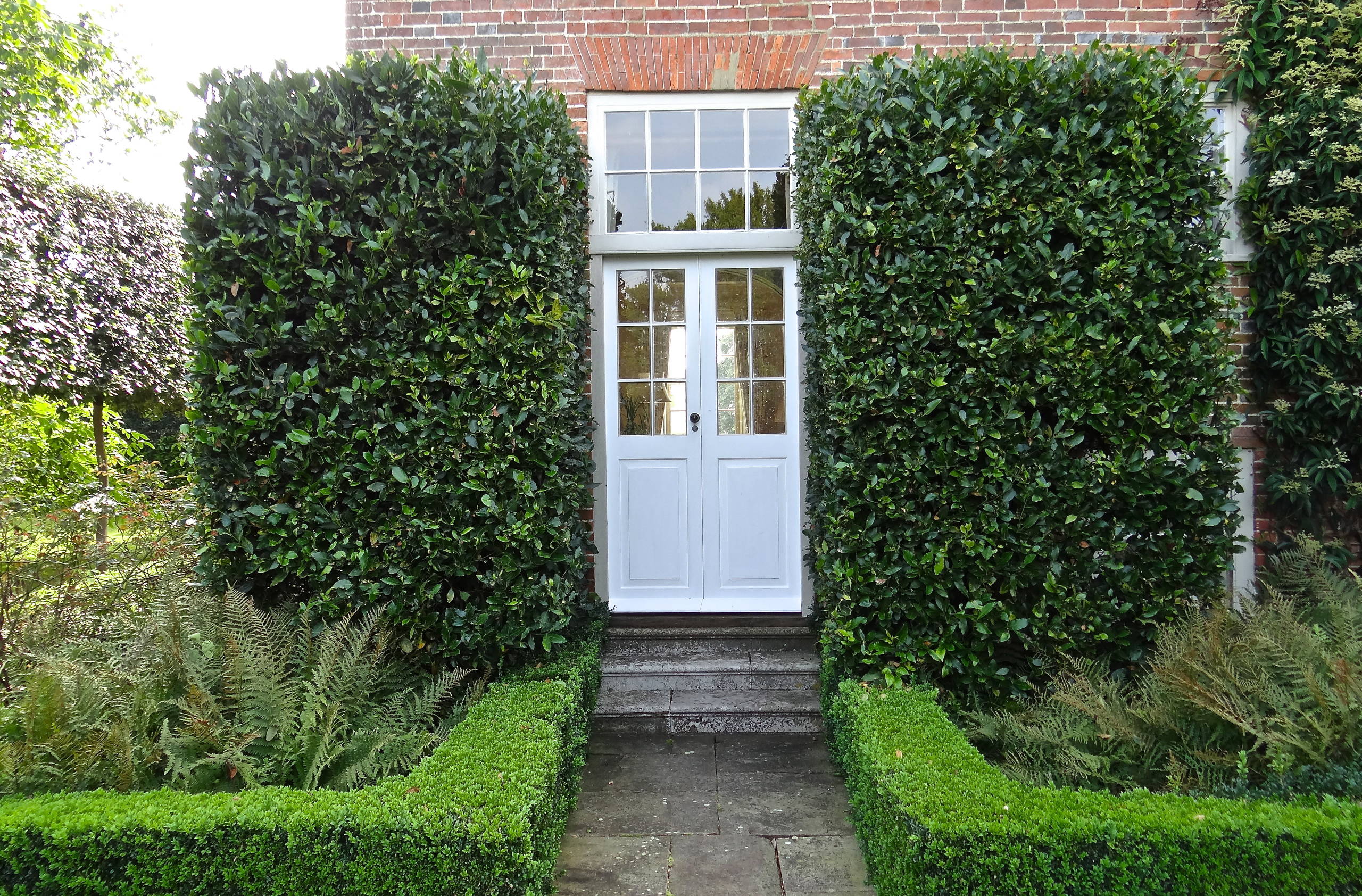 How to Choose a Climbing Plant for Your Front Door   Houzz UK