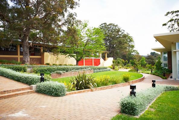 Photo of a contemporary landscaping in Wollongong.