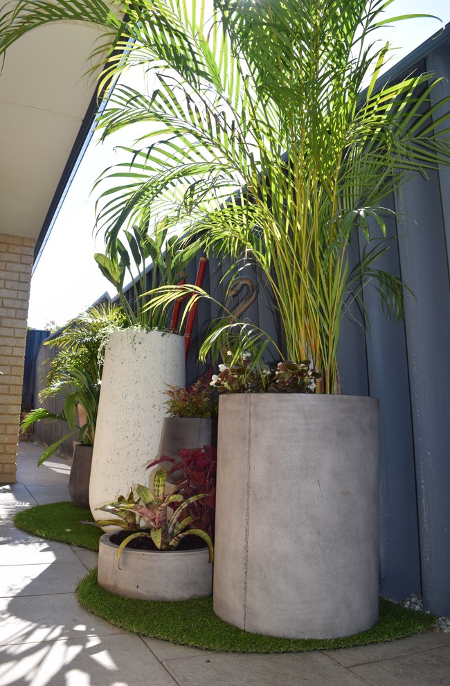 Стильный дизайн: маленький засухоустойчивый сад на боковом дворе в современном стиле с растениями в контейнерах и полуденной тенью для на участке и в саду - последний тренд