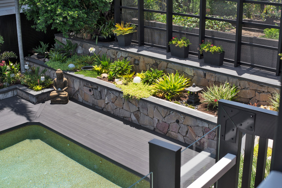 Medium sized traditional back xeriscape garden in Brisbane with a retaining wall.