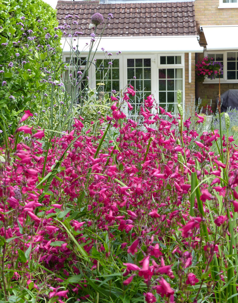 Family garden, Shenfield Modern Landscape Essex by Turning Leaf