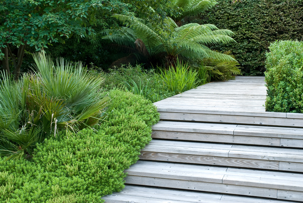 Inspiration pour un jardin minimaliste de taille moyenne et l'été avec une exposition partiellement ombragée, une pente, une colline ou un talus et une terrasse en bois.