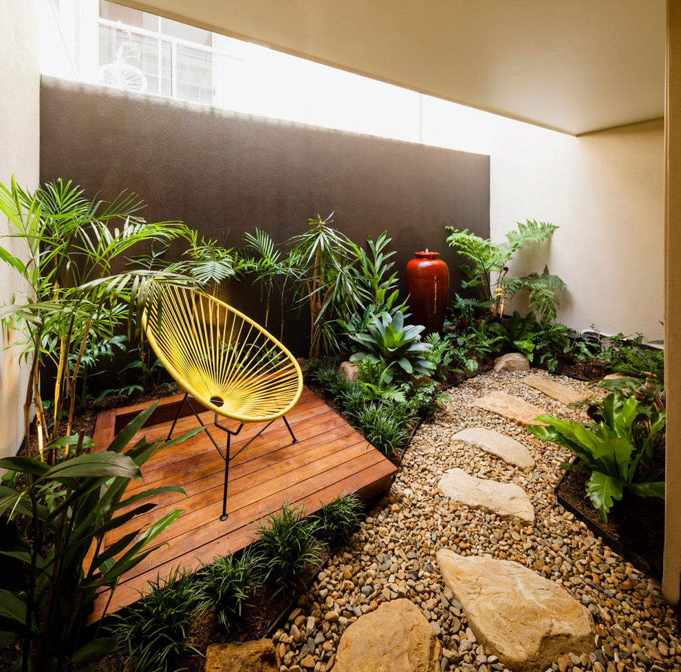 Idee per un giardino formale tropicale in ombra in cortile in estate con pedane