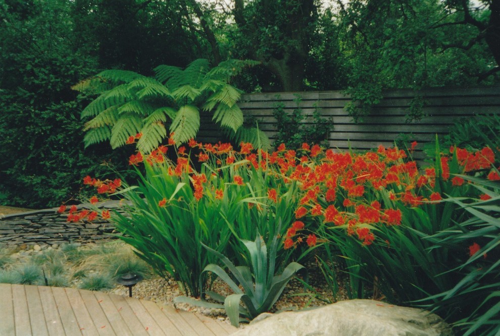Photo of a world-inspired garden in London.