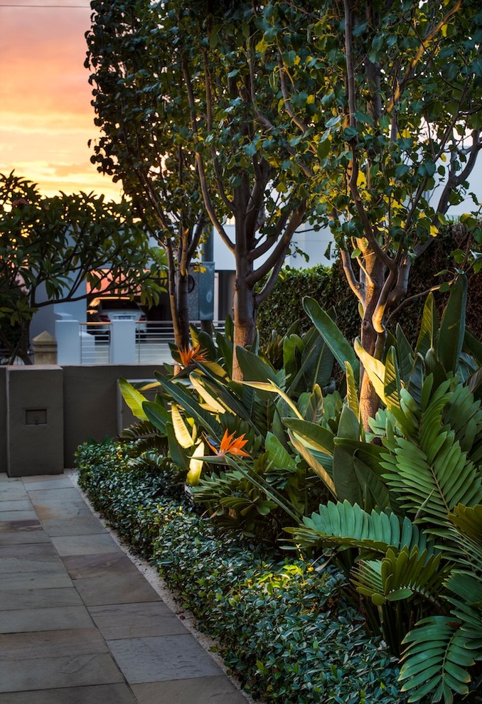Design ideas for a contemporary garden in Perth with a garden path and natural stone paving.