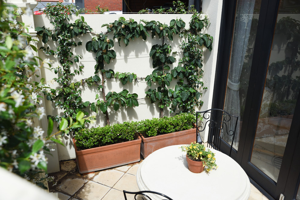 Immagine di un piccolo giardino formale classico esposto a mezz'ombra in cortile con pavimentazioni in cemento