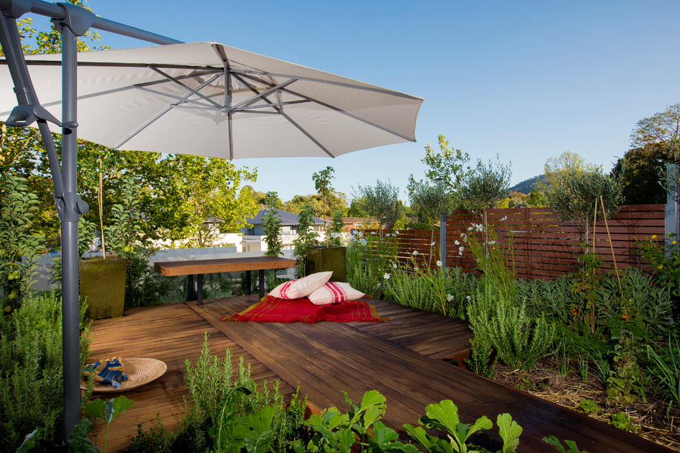 Cette image montre un petit jardin minimaliste l'été avec une exposition partiellement ombragée et une terrasse en bois.