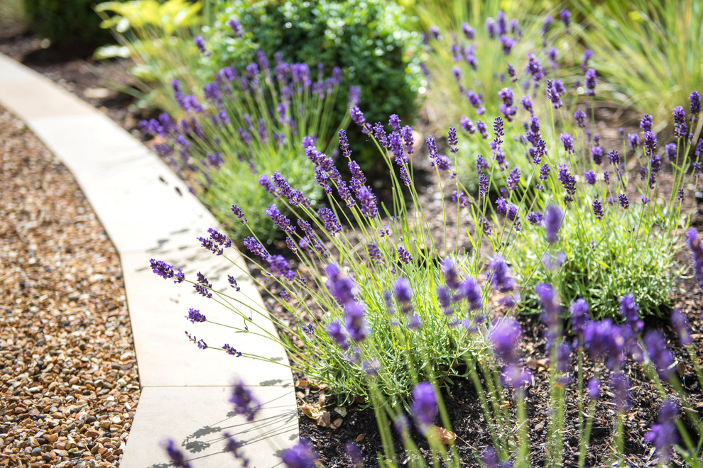 ロンドンにある広いトラディショナルスタイルのおしゃれな庭 (庭への小道、天然石敷き) の写真