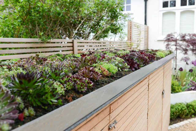 Front Garden - Court Lane - Modern - Garten - London - von Kate Eyre