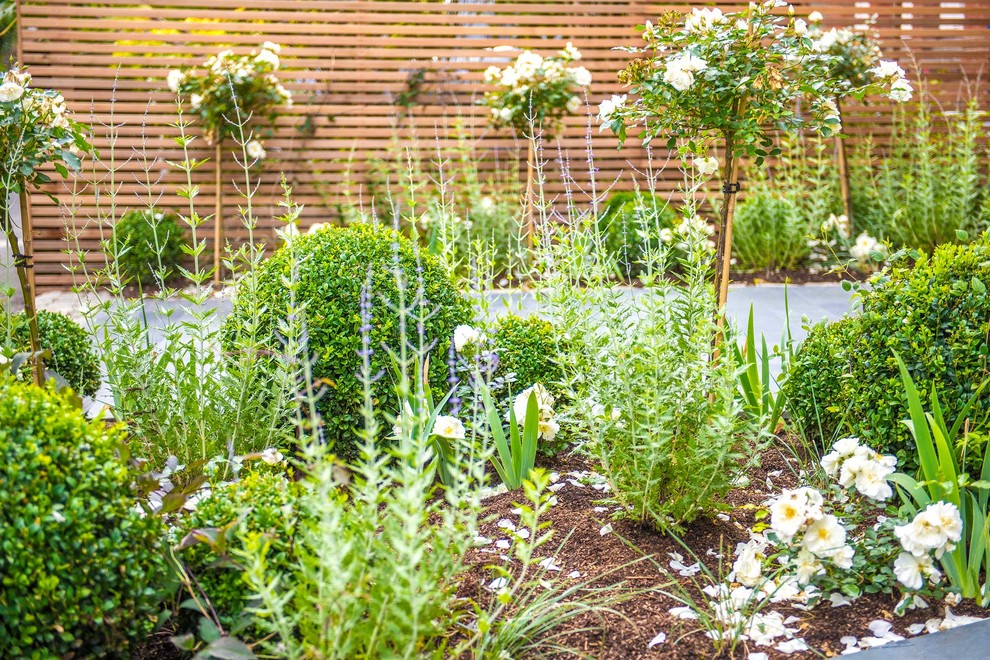ロンドンにあるコンテンポラリースタイルのおしゃれな庭 (天然石敷き) の写真