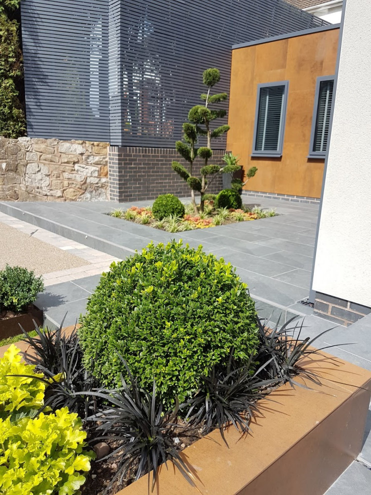 Immagine di un piccolo giardino formale design esposto in pieno sole davanti casa