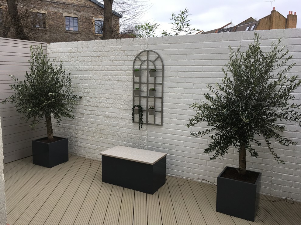Kleiner Moderner Garten im Sommer, hinter dem Haus mit direkter Sonneneinstrahlung und Dielen in London
