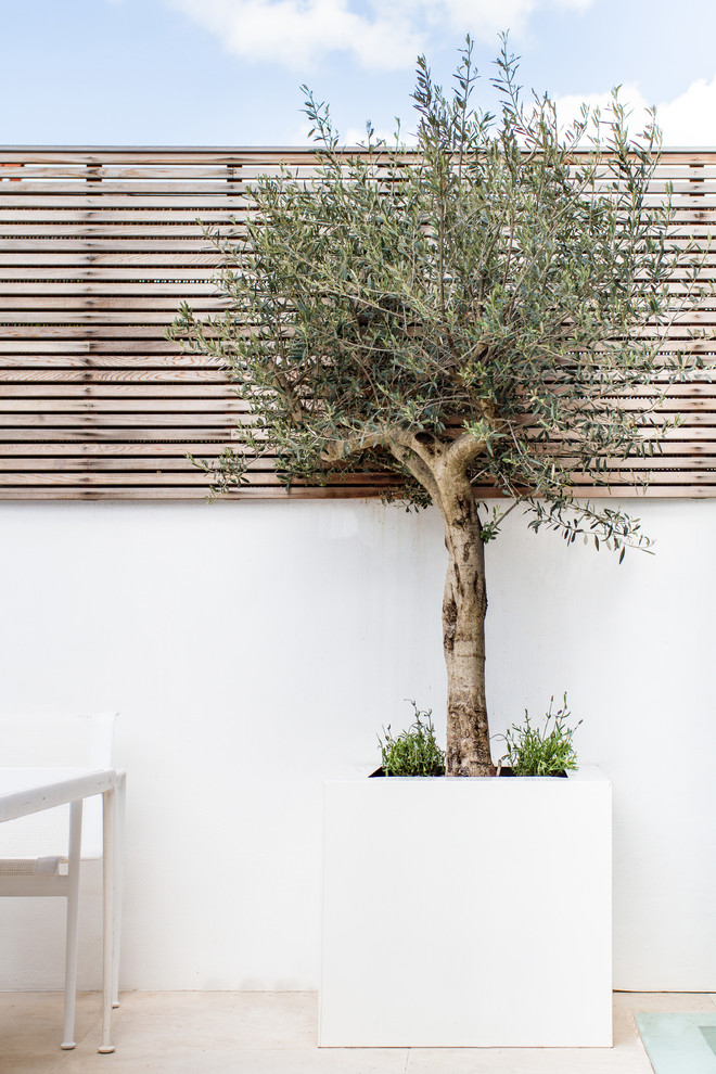 Idee per un piccolo giardino formale minimal esposto in pieno sole dietro casa in estate con un muro di contenimento e pavimentazioni in pietra naturale