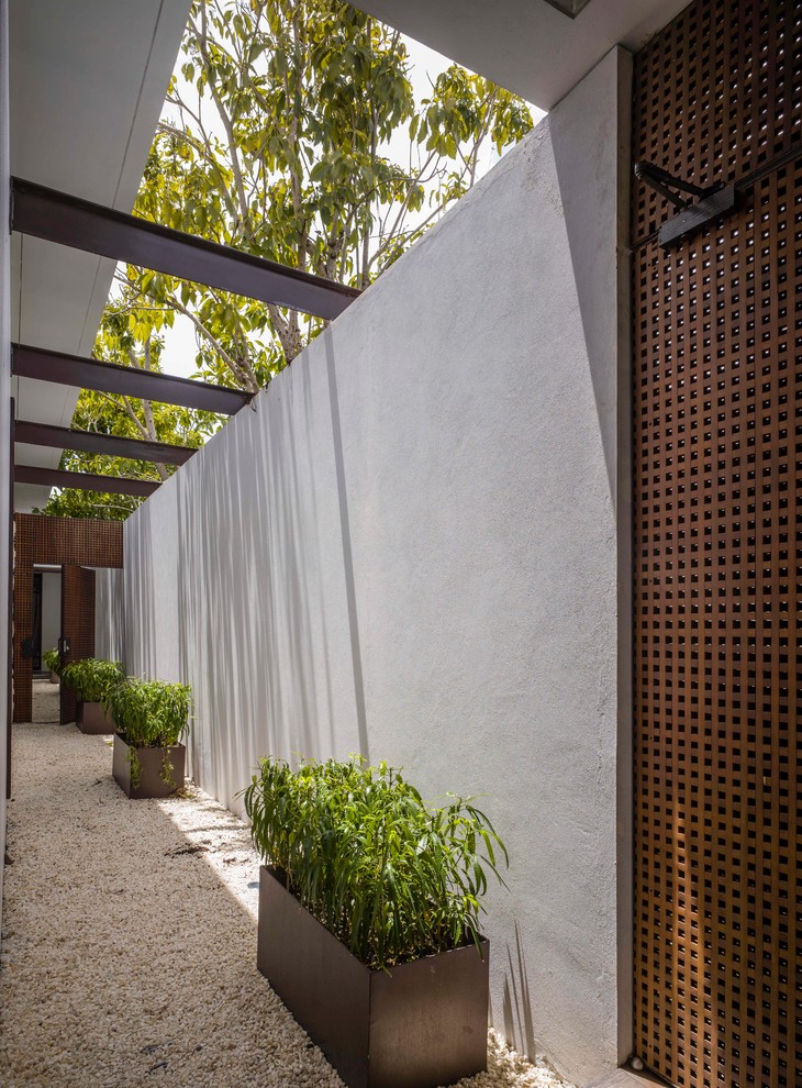 Imagen de camino de jardín minimalista en verano en patio lateral con exposición reducida al sol y gravilla
