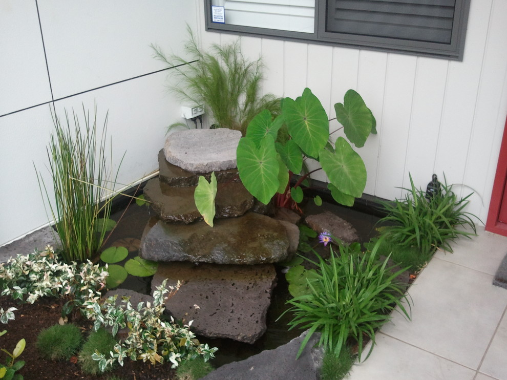 Idées déco pour un petit jardin à la française avant contemporain avec un bassin et des pavés en béton.