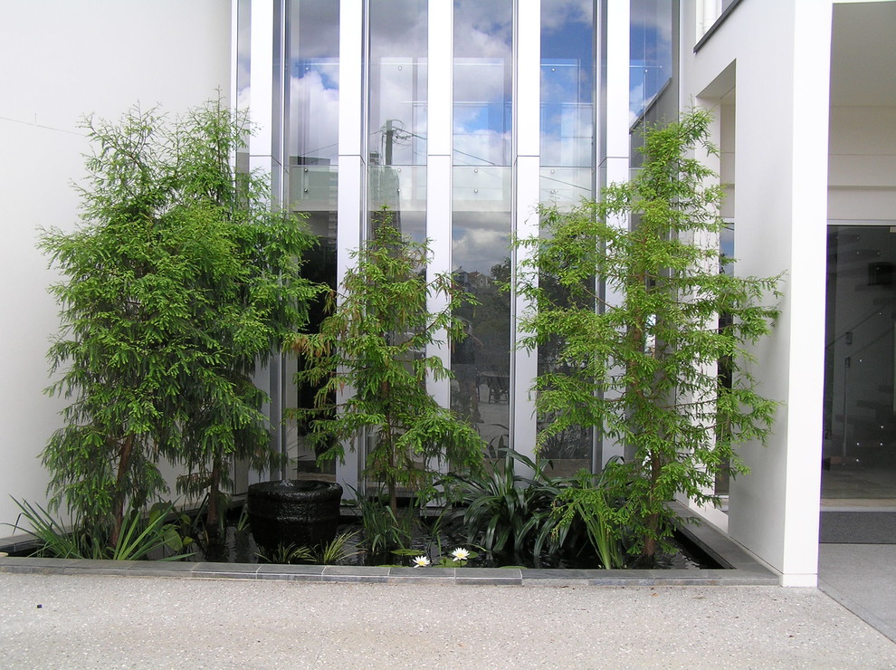 Geometrischer, Kleiner Moderner Garten mit Betonboden in Brisbane