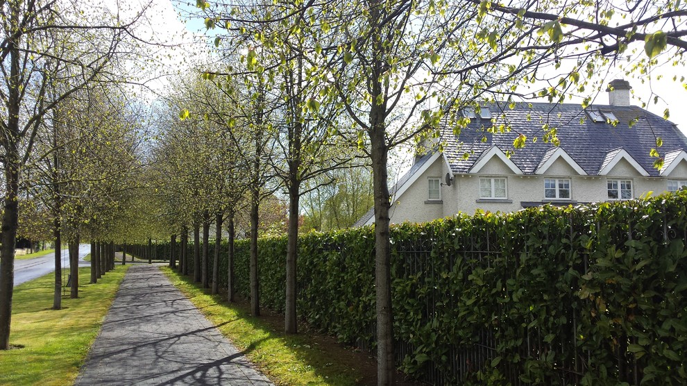 Inspiration for an expansive traditional driveway garden in Dublin with concrete paving.