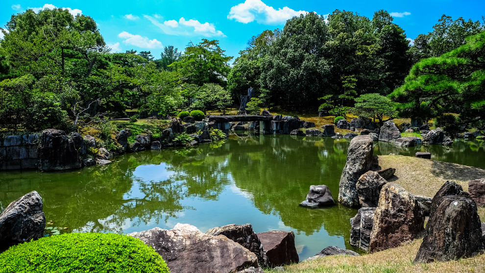 メルボルンにある低価格の巨大な、夏のアジアンスタイルのおしゃれな庭 (池、日向、砂利舗装) の写真