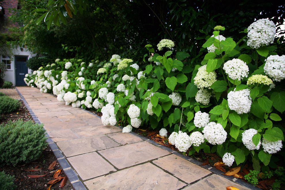 Garden Design in Dulwich Village 9 - Traditional - Landscape - London