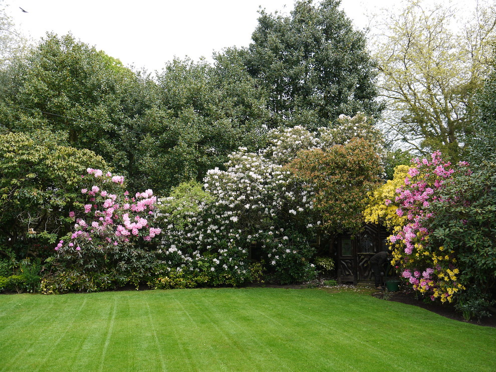 Photo of a large traditional backyard landscaping in Cheshire for summer.