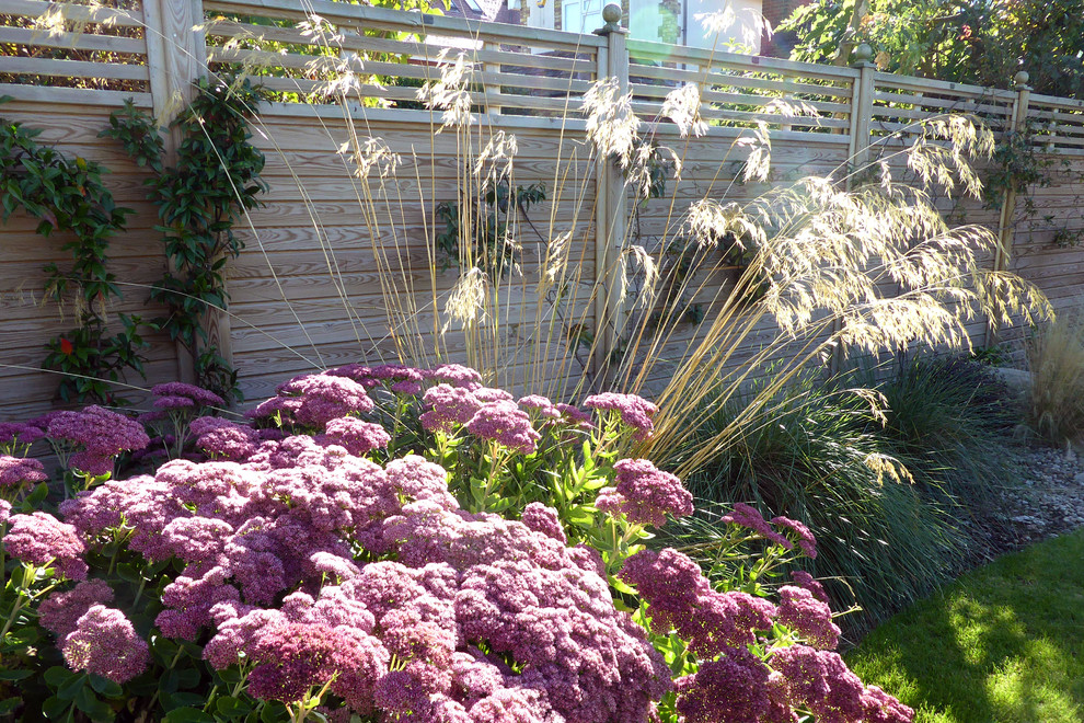 Modelo de jardín de secano contemporáneo de tamaño medio en verano en patio trasero con exposición total al sol y gravilla