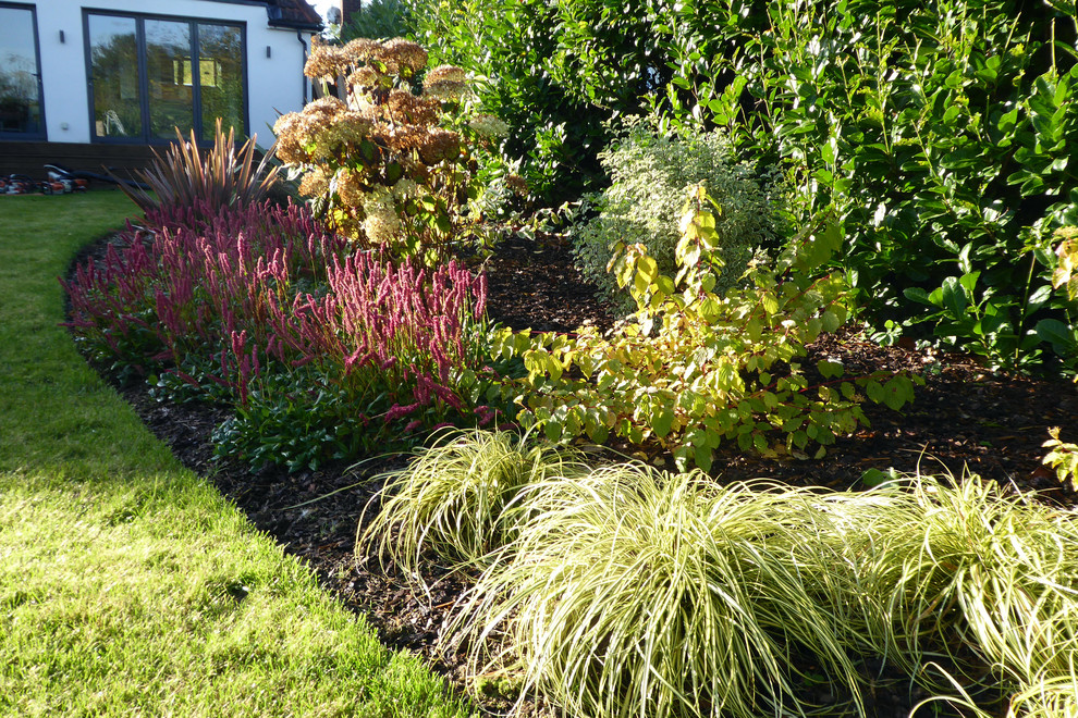 На фото: осенний участок и сад среднего размера на заднем дворе в современном стиле с полуденной тенью с