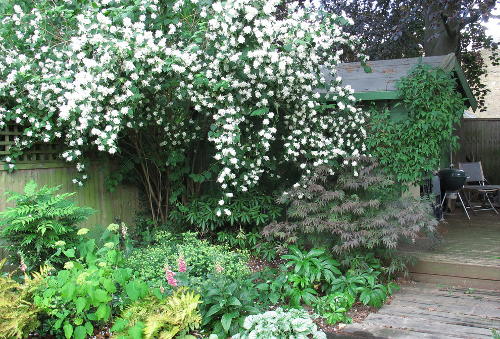 Immagine di un giardino chic in ombra di medie dimensioni e dietro casa in primavera con pedane