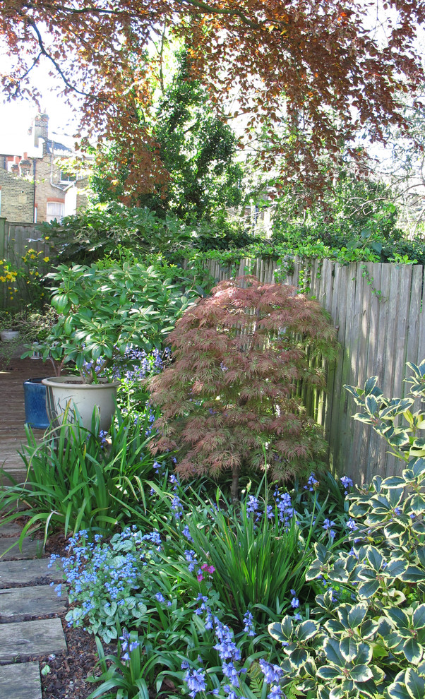 Mittelgroßer, Schattiger Klassischer Garten im Frühling, hinter dem Haus mit Dielen in London