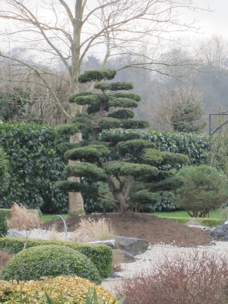 На фото: регулярный сад на заднем дворе в современном стиле