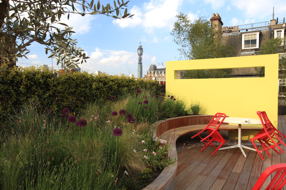 Design ideas for a modern garden in West Midlands.