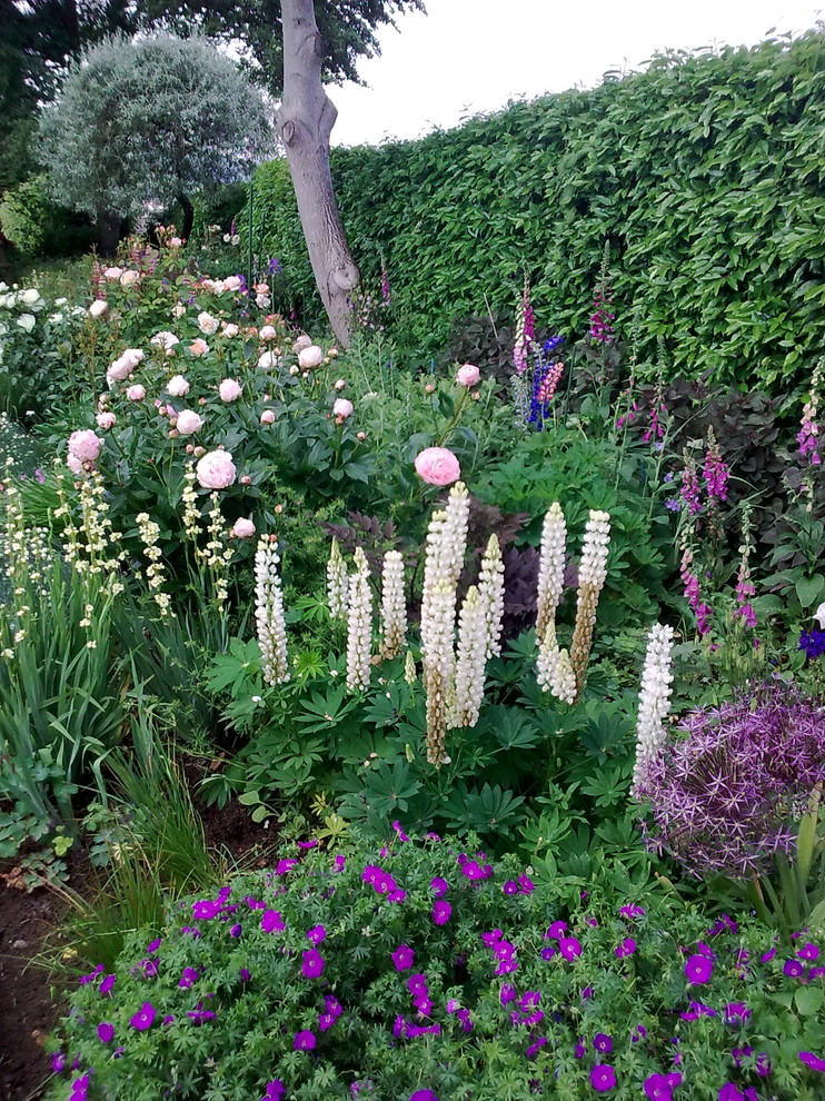 Cette photo montre un jardin chic avec une exposition ensoleillée.