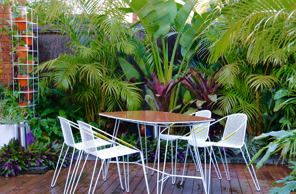 Cette photo montre un petit jardin arrière exotique l'été avec une exposition partiellement ombragée et une terrasse en bois.