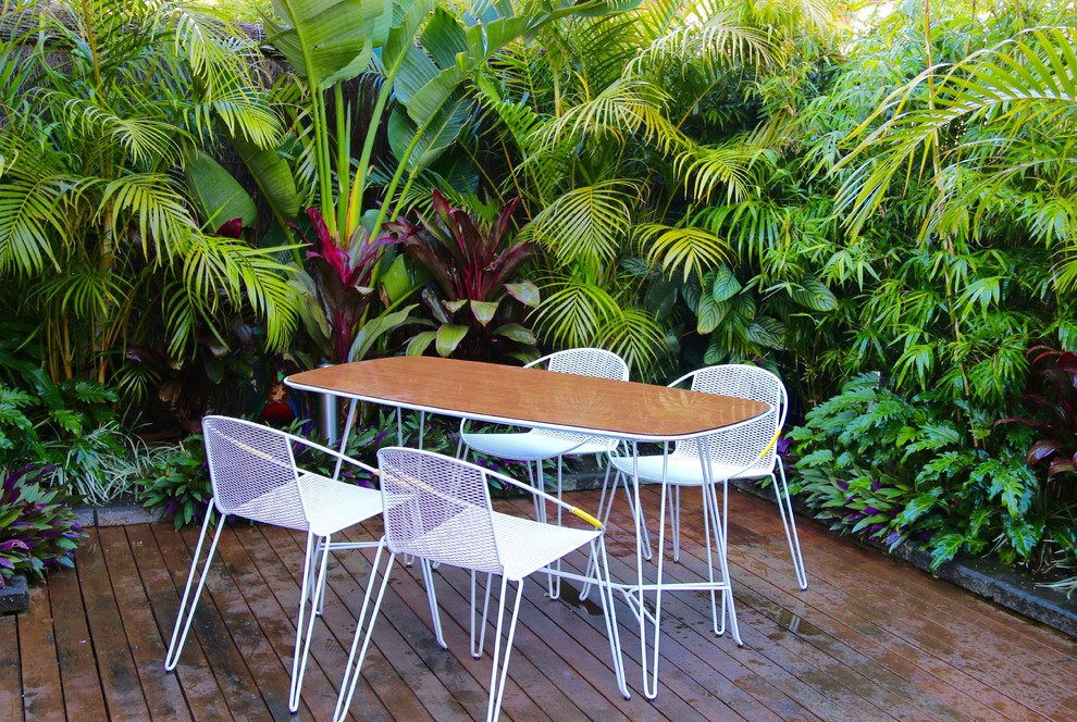 Foto di un piccolo giardino formale tropicale esposto a mezz'ombra dietro casa in estate con un muro di contenimento e pedane