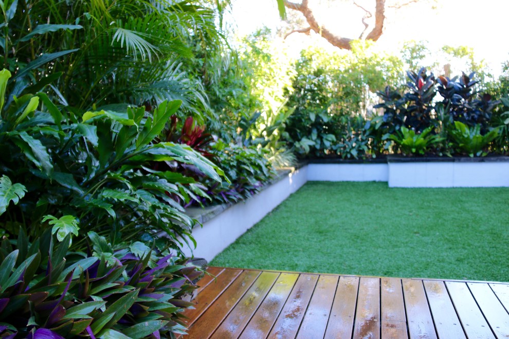 シドニーにあるお手頃価格の小さな、夏のトロピカルスタイルのおしゃれな庭 (擁壁、半日向、デッキ材舗装) の写真