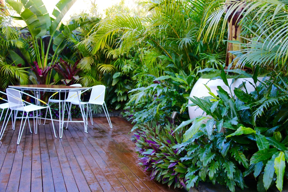 Modelo de jardín tropical pequeño en verano en patio trasero con jardín francés, muro de contención, exposición parcial al sol y entablado