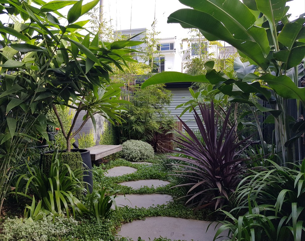 Immagine di un piccolo giardino tropicale dietro casa con pavimentazioni in pietra naturale