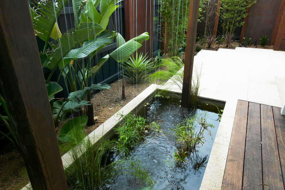 This is an example of a contemporary garden in Melbourne.