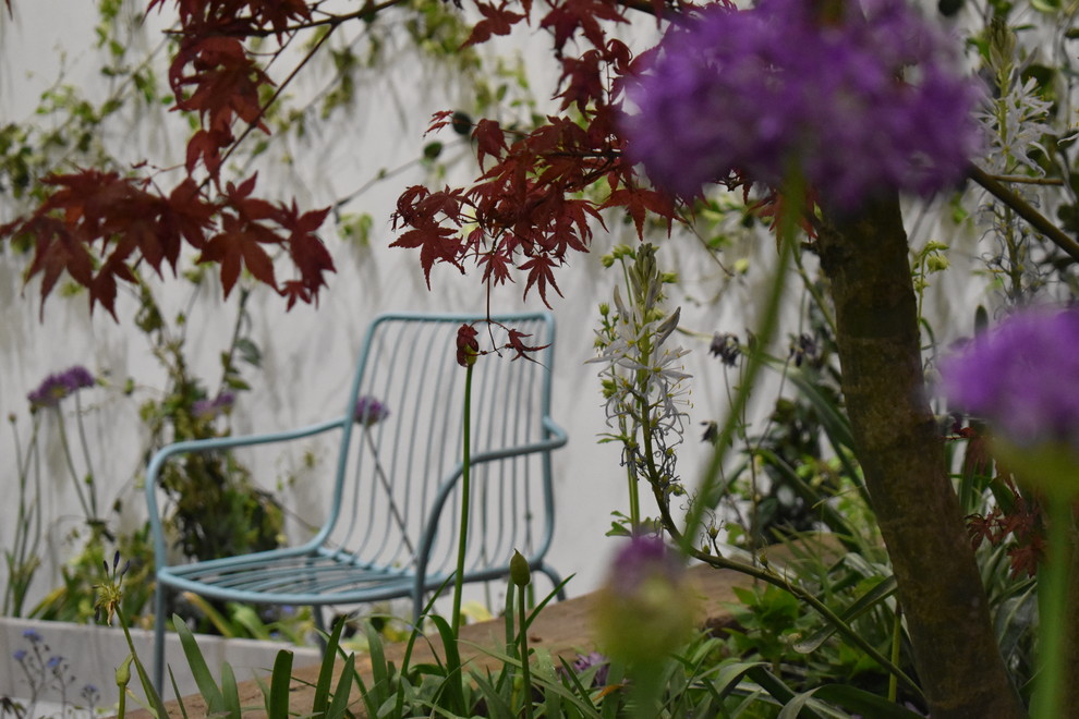 Photo of a small contemporary garden in London.